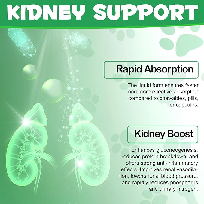 Kidney Support for Cats, Cat Kidney Treatment Support Cat Urinate Regularly, Strengthen Kidney Function,Increase Immunity, Herbal Supplement Supports Healthy Kidney Function- 2PCS