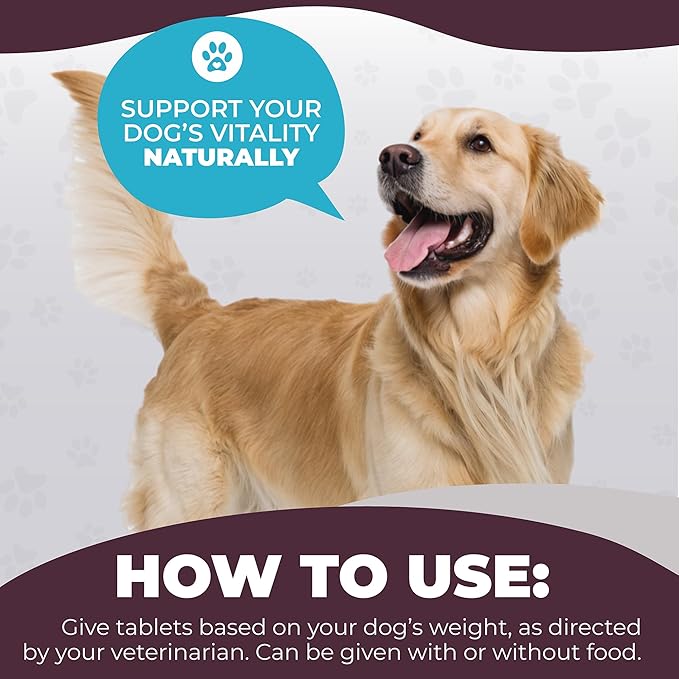 K9 Select SAMeThistle Pro –60 Tablets Liver Support for Dogs with SAM-e & Milk Thistle – Hepato Support for Dogs, Liver & Kidney Detox
