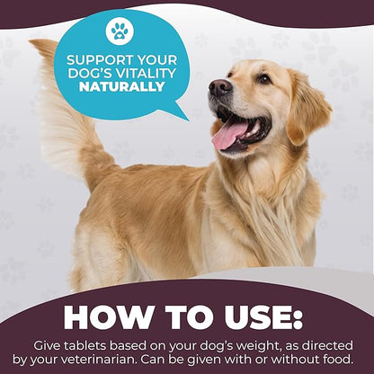 K9 Select SAMeThistle Pro –60 Tablets Liver Support for Dogs with SAM-e & Milk Thistle – Hepato Support for Dogs, Liver & Kidney Detox