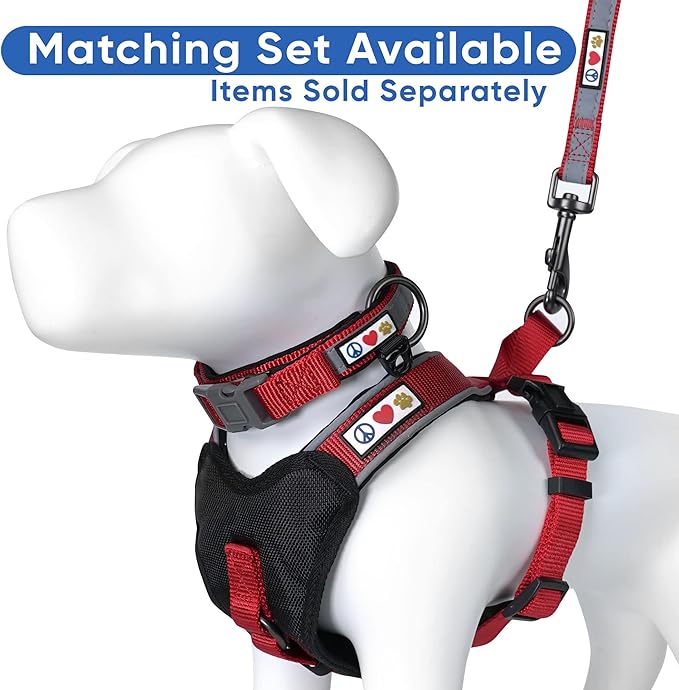 Pawtitas 6 FT Padded Dog Leash with Comfortable Neoprene Padding Handle - Red Lead | Medium Reflective Dog Leash with Highly Reflective Band Perfect for Medium and Large Dogs and Puppies.