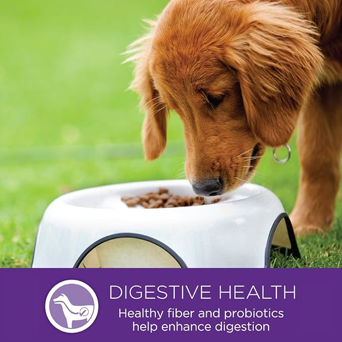 Wellness Complete Health Large Breed Adult Dry Dog Food, Wholesome Grain Kibble, Natural, Chicken, Oatmeal, and Salmon Recipe, 30 lb Bag