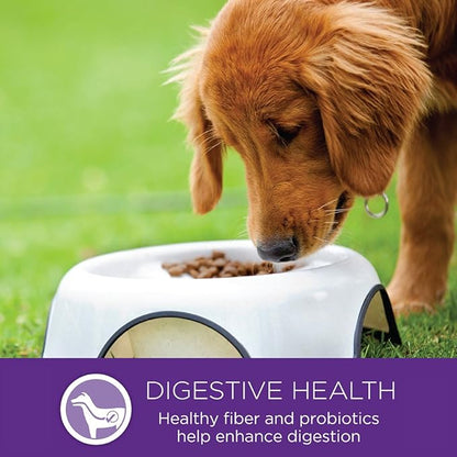 Wellness Complete Health Large Breed Adult Dry Dog Food, Wholesome Grain Kibble, Natural, Chicken, Oatmeal, and Salmon Recipe, 30 lb Bag