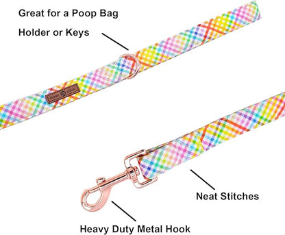 Lionet Paws Dog Leash and Matching Collar for Small to Large Dogs