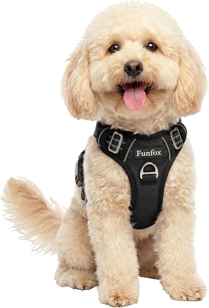 Funfox Dog Harness Small Sized Dog, Vertical Handle Easy Control, No Pull Pet Vest Adjustable with 2 Leash Clips, Soft Material, Reflective Safe Night Walking for Small Medium Large Breed, Black, S