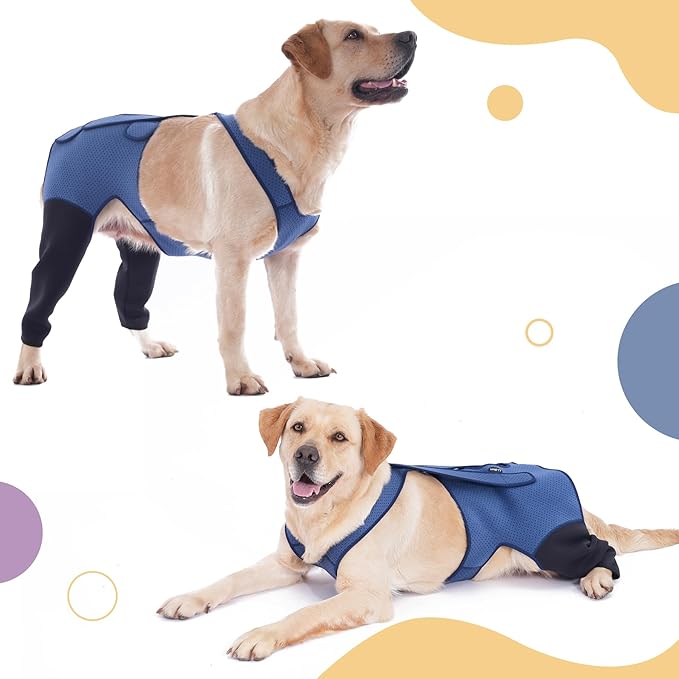Dog Hind Leg Recovery Sleeve Dog Recovery Suit as Cone Collar Alternative, 2.5mm Thick and Waterproof, Prevent Pet Wounds Licking, Biting (2XLarge)