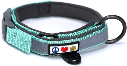Pawtitas Lumberjack Padded Martingale Collar for Dogs | Soft Neoprene Dog Collar for Your pet's Comfort Made with Reflective Band for Maximum Visibility | Fits Small and Large Pets - Medium Teal