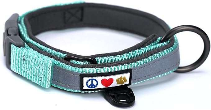 Pawtitas Lumberjack Padded Martingale Collar for Dogs | Soft Neoprene Dog Collar for Your pet's Comfort Made with Reflective Band for Maximum Visibility | Fits Small and Large Pets - XXS Teal