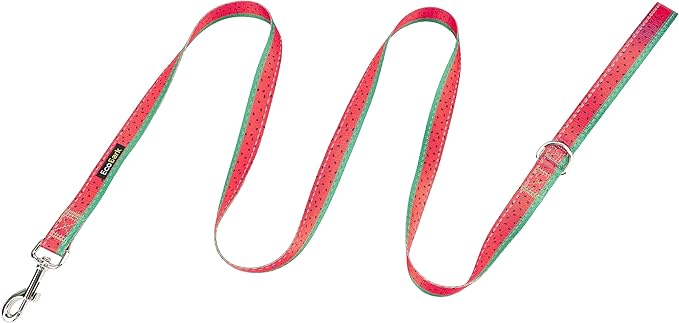 EcoBark Dog Leash - Soft & Reflective Comfort Leash with Padded Handle - Safe, Strong, & Durable for Small, Medium or Large Dogs (Watermelon)