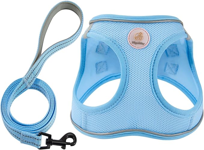 Hipubby Dog Harness and Leash Set, No Pull Soft Mesh Puppy Harness for Small Medium Dogs, Cats - Step in Reflective Breathable Lightweight Vest Harness for Walking, Training - Blue, L
