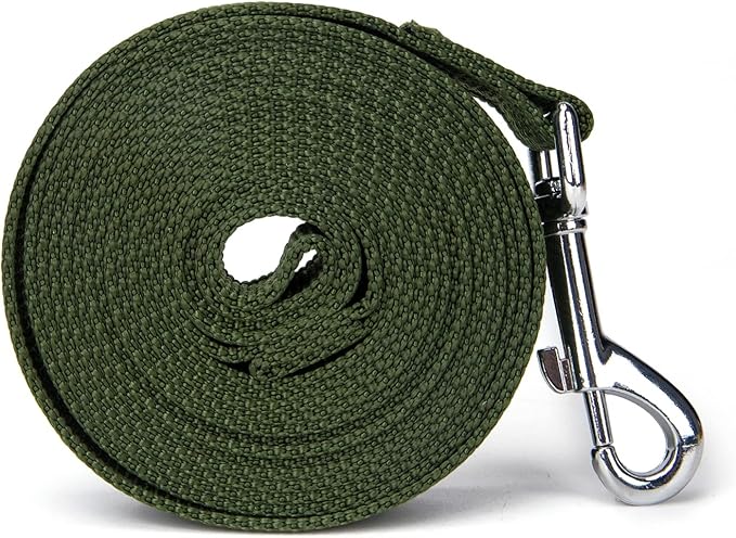 Strong Durable Nylon Dog Training Leash, 1 Inch Wide Traction Rope, 6 ft 10ft 15ft Long, for Small and Medium Dog (Military Green, 15 Feet)