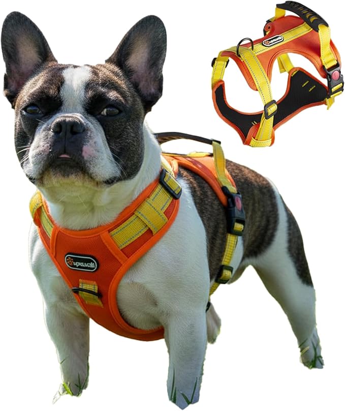 Tactical Dog Harness for Large Medium Dogs No Pull Adjustable Pet Vest with Reflective Straps Front & Back Clips Handle for Hiking Walking Hunting– 4 Sizes with or Without Leash (Orange, S)