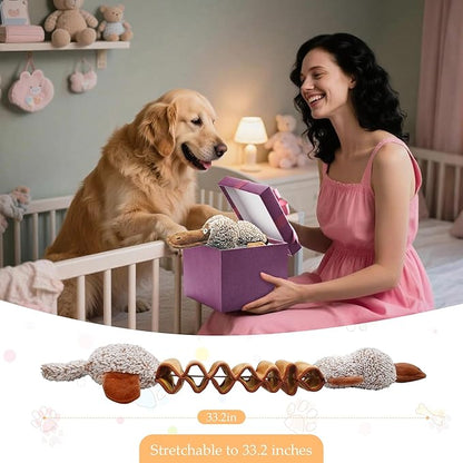 Squeaky Dog Toys, Stuffed Large Dog Toys to Keep Them Busy, Interactive Plush Chew Toys with Crinkle Paper, Tough Pet Animal Toys for Small Medium Large Dogs - Platypus