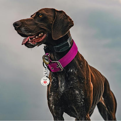 ESA Dog ID Tag Emotional Support Animal Easily Attach to Dog Collar, Harness (Small-0.98 inch)