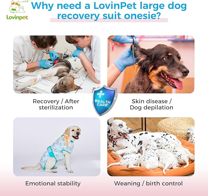 LovinPet Recovery Suit for Dogs: Onesie for Dogs After Surgery Female & Male Anti-Licking Protection Full Body Coverage for Anti-Shedding
