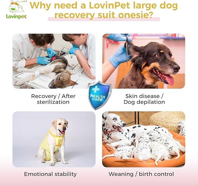 LovinPet Dog Recovery Suit for Large Medium Dogs - Wound Protective Surgical Recovery Bodysuit Suit for Abdominal Wounds After Surgery Dog Onesies,Deer Pattern,Yellow,XXL