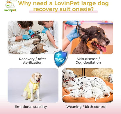 LovinPet Dog Recovery Suit for Large Medium Dogs - Wound Protective Surgical Recovery Bodysuit Suit for Abdominal Wounds After Surgery Dog Onesies,Deer Pattern,Yellow,XXL