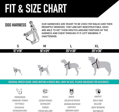 Wolfgang Heavy Duty Adjustable Dog Harness, Pull-Tested for Walking & Training, StarryWolf Print, Small
