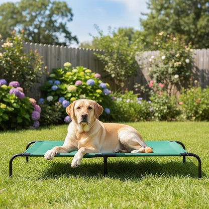 Amazon Basics Cooling Breathable Elevated Dog Bed with Durable Metal Frame for Large Dogs, X-Large, 60 x 37 x 9 Inch, Green, Easy to Clean