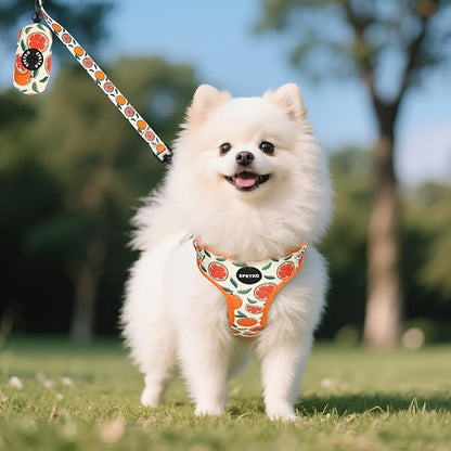 Small Dog Harness and Leash Set of 6, No Pull Soft Lightweight Mesh Puppy Harness， Adjustable Cute Floral Pattern Pet Harness for Small Medium Dogs (Orange, S)