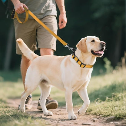 Joytale Reflective Dog Collar, Soft Neoprene Padded, Metal D-Ring, Nylon Pet Collar Adjustable for Extra Large Dogs, Khaki, XL