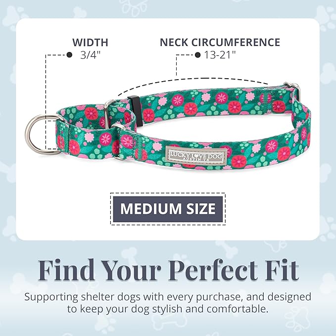 Lucky Love Dog Martingale Dog Collar - Adjustable, No-Slip, Durable, & Soft Webbing Collar for Male and Female Dogs Ideal for Training & Walking - Penny, Medium