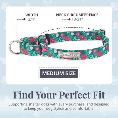 Lucky Love Dog Martingale Dog Collar - Adjustable, No-Slip, Durable, & Soft Webbing Collar for Male and Female Dogs Ideal for Training & Walking - Penny, Medium