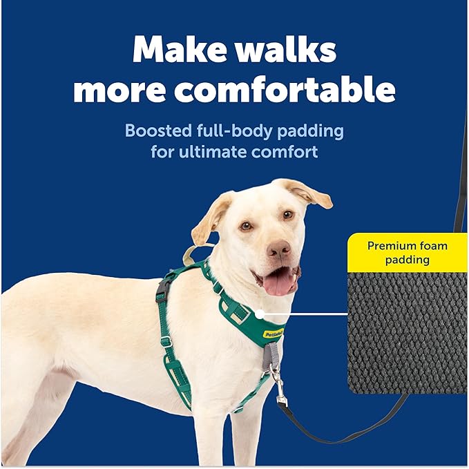 PetSafe Easy Walk Comfort No-Pull Dog Harness - Better Walk Training Harness - Full Body Padded Design - Durable Fabric - 5 Point Adjustable Fit - Everyday Leash Training - Green - Large