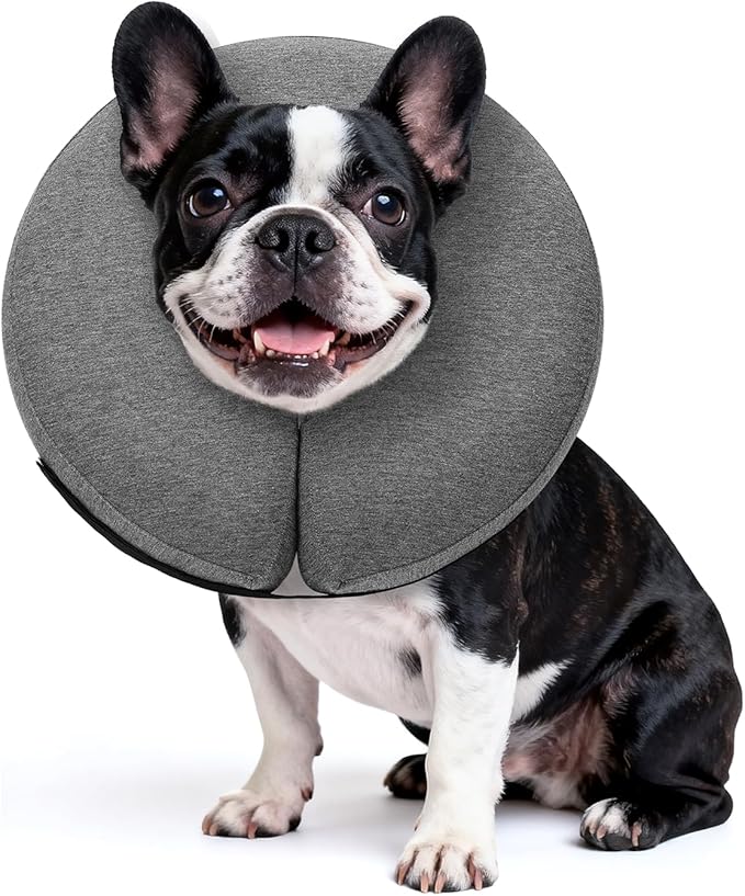 MIDOG Inflatable Dog Cone Collar – Soft Dog Cone Alternative After Surgery, Comfortable Recovery Neck Donut ECollar for Small Medium & Large Dogs and Cats to Stop Licking & Vision-Friendly (Grey,M+)