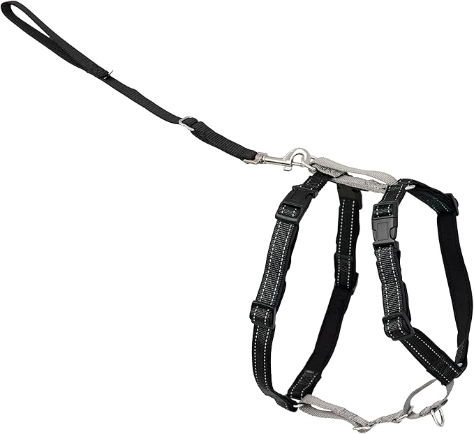 PetSafe 3 in 1 Dog Harness - No Pull Solution for Dogs - Reflective Dog Harness - Front D-Ring Clip Helps Stop Pulling - Comfortable Padded Straps - Top Handle Enhances Control - Black - Extra Small