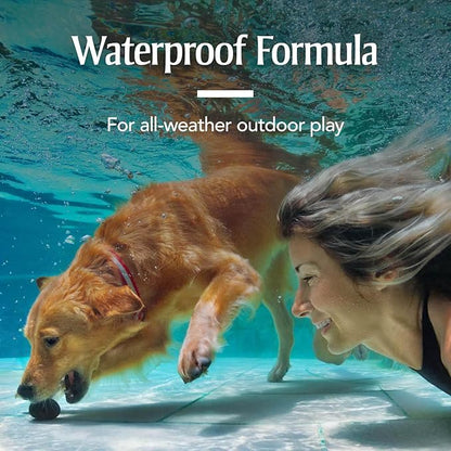 PetArmor for Dogs, Flea and Tick Treatment for Large Dogs (45-88 Pounds), Includes 6 Month Supply of Topical Flea Treatments