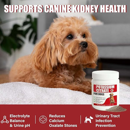 Potassium Citrate & Cranberry Supplement for Dogs & Cats - UTI Treatment & Bladder Support Powder, pH Balance, Urinary Tract & Stone Prevention