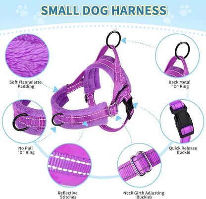 Lukovee No Pull Dog Harness and Leash Set, Soft Padded Small Dog Harness, Neck & Chest Adjustable Reflective Vest Puppy Harness with 4ft Lightweight Anti-Twist Dog Leash for Small Dogs (XXS, Purple)