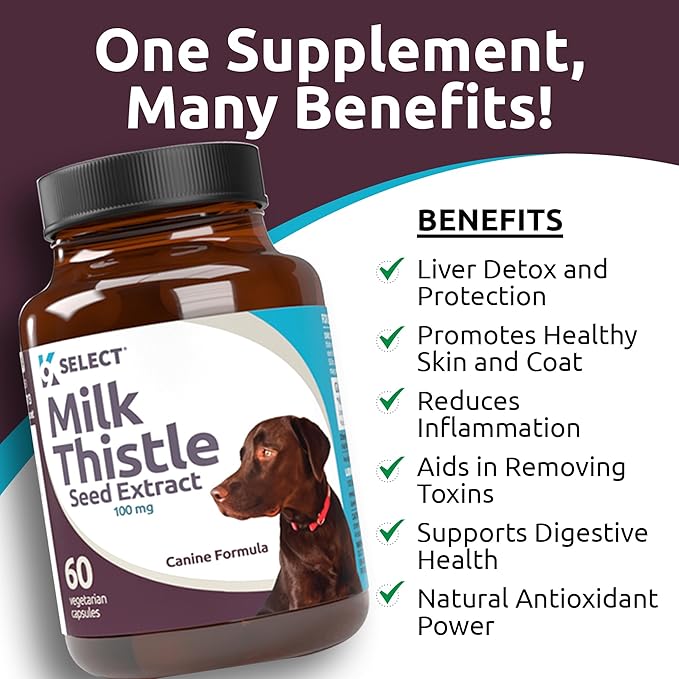 Milk Thistle for Dogs, 100mg - 60 Vegetable Capsules - Canine Liver Health Milk Thistle Supplement - Milk Herbal