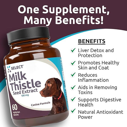 Milk Thistle for Dogs, 100mg - 60 Vegetable Capsules - Canine Liver Health Milk Thistle Supplement - Milk Herbal