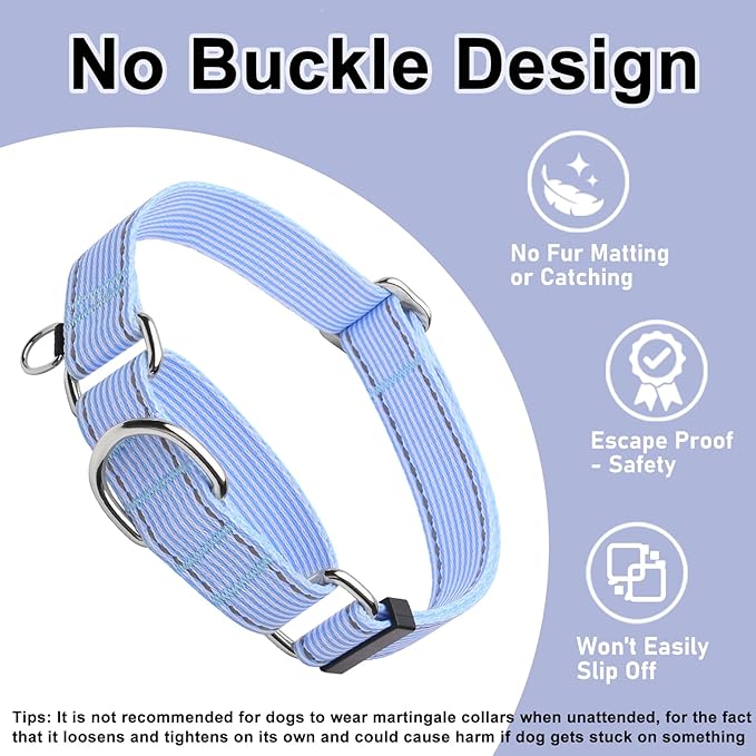 Reflective Martingale Collar for Dogs Nylon Training Collar with No Buckle, No Pull Escape Proof Dog Collar for Medium Dogs（Blue Stripe，M）