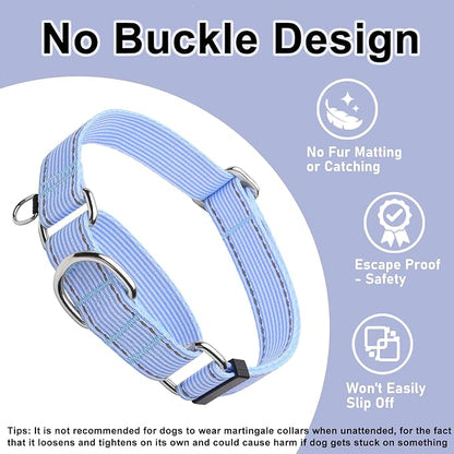 Reflective Martingale Collar for Dogs Nylon Training Collar with No Buckle, No Pull Escape Proof Dog Collar for Medium Dogs（Blue Stripe，M）