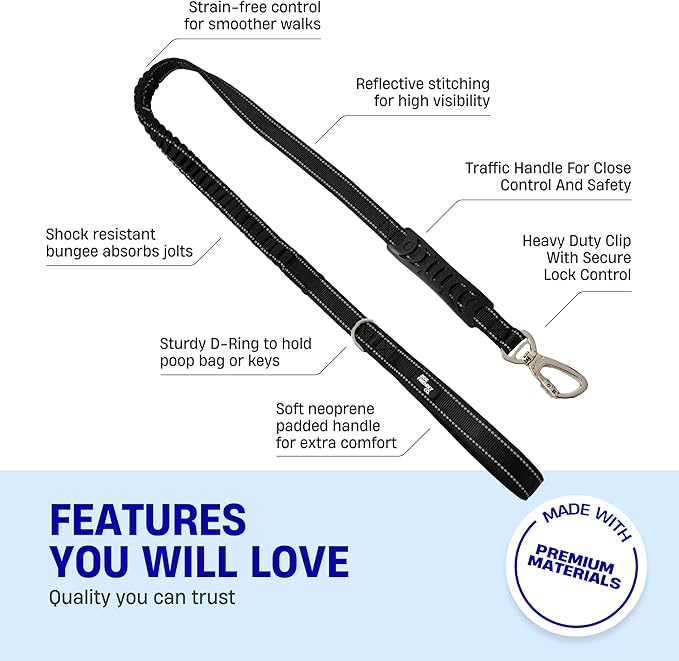Dog Friendly Co. Bungee Dog Leash | Strain Free & Shock Resistant for Control | Neoprene Padded Handle, Heavy-Duty Carabiner Clip, and D-Ring | Black, Size Regular
