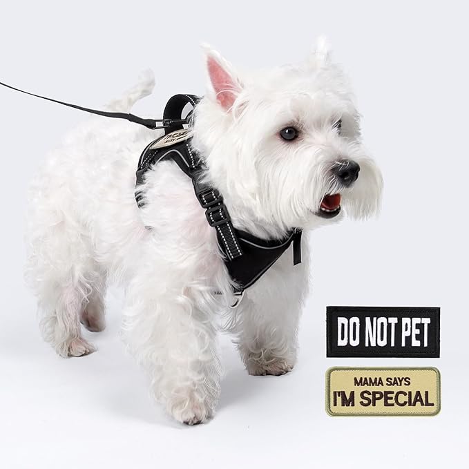 Tactical Dog Harness for Small Dog - Reflective Puppy Pet Vest No Pull Military Service Dog Vest with Vertical Handle XS Dog Harness for Outdoor Training