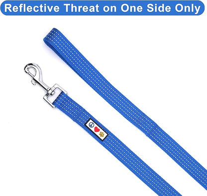 Pawtitas Blue Dog Leash 6 ft XS/S Reflective Durable Lightweight Dog Lead for Small Dogs and Puppies
