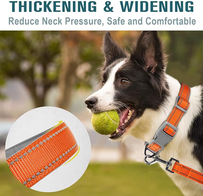 Dog Collar for Medium Small Large Dogs Reflective with Leash,Collar and Leash for Dogs,Soft Neoprene Padded 2 Pack(Orange,L)