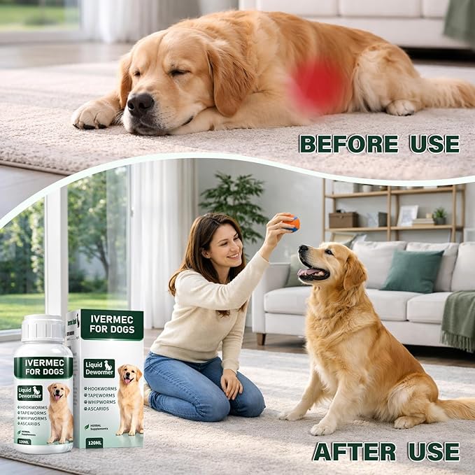 Dewormer for Dogs, Broad Spectrum for All Wormer, Promotes Digestive Comfort & Daily Balance, Pin Worms, Hookworms, Lung Worms, Round Worms, Easy-to-Use Liquid, 120 mL