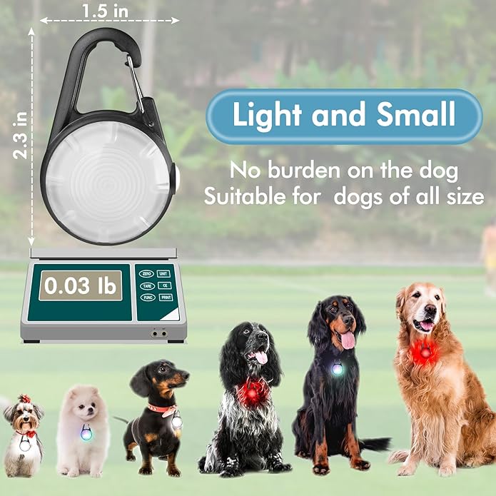 4 Modes Dog Collar Light，2 Packs IP68 Waterproof Dog Lights for Night Walking, USB Rechargeable Pet LED for Nighttime Clip on (Black)