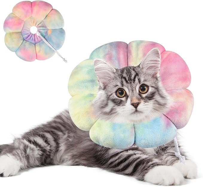 Dog Cat Surgical Recovery Cone Dog Protective Collar, Pet Recovery E-Collar Soft Neck Cone to Stop Licking Wound for Cats & Kittens Small Dog After Surgery (Pinkblue, S)