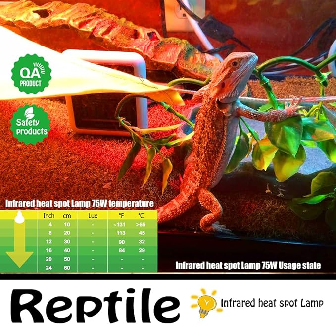 Infrared Heat Lamp Bulbs 75W 2 Pack,Red Basking Spot Light Bulb Reptile Heating lamp for Bearded Dragon,Turtle,Snake,Leopard Gecko,Chicked with Digital Temperature Thermometer