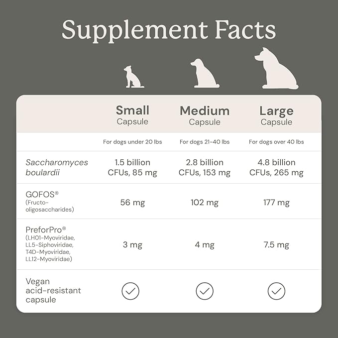Animal Biome Probiotics for Dogs with S Boulardii, Gut Maintain (60 Capsules) – Triple-Action Medium Dog Probiotics, Prebiotics & Phage Supplements for Gut Health, Firmer Stool & Diarrhea Support