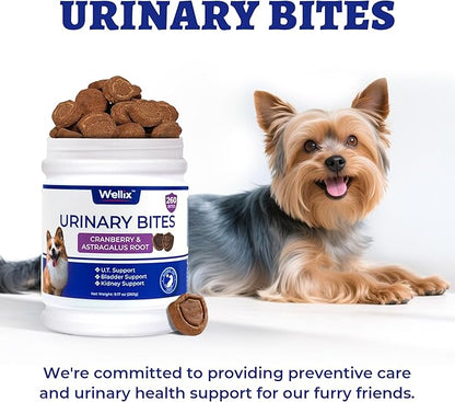 260 Bites Wellix Urinary Bites for Dog UTI Treatment - Cranberry Supplement with D-Mannose Marshmallow Root for Dogs Urinary Tract & Kidney Bladder Support - Chicken Flavor