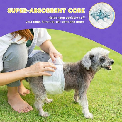 PetsWorld Dog Diapers Male X-Small 600 Count Disposable Male Dog Wraps – Super Absorbent Belly Bands with Wetness Indicator, Fur-Friendly Adjustable Fit for Incontinence & Training (Waist 8–10.5 in)