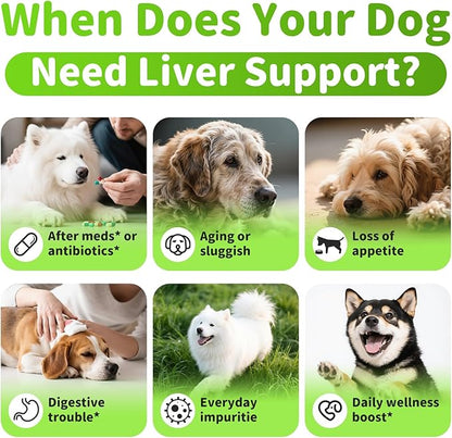 Dog Liver Support Chews - with Milk Thistle (Silybum), Same & NAC - Liver Supplement for Metabolic - Detox - Gut & Immune Health - Beef Flavor, 90 Soft Chews
