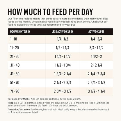The Honest Kitchen Whole Food Clusters Grain Free Chicken Dry Dog Food, 1 lb Trial Pouch (Pack of 2)