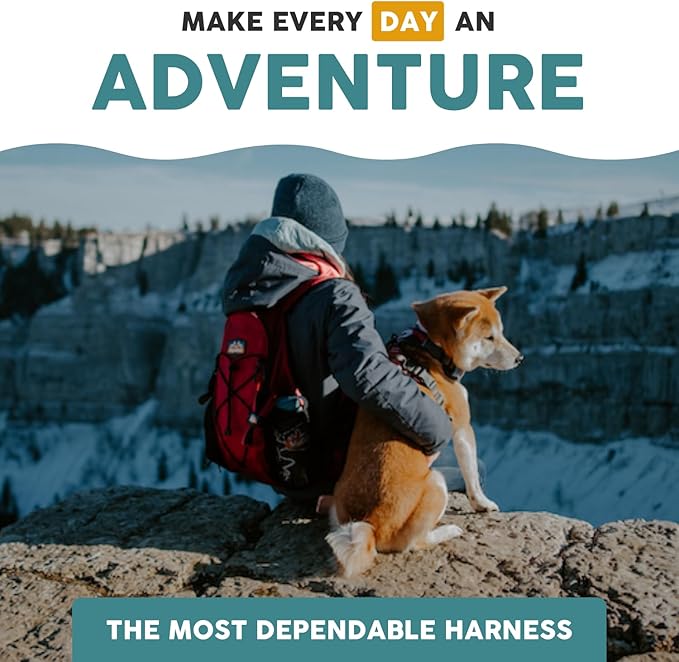 Embark Adventure No-Pull XL Dog Harness for Extra Large Dogs – Reflective Trim, Military-Grade Nylon, Dual Leash Clips, Gel-Lined Handle